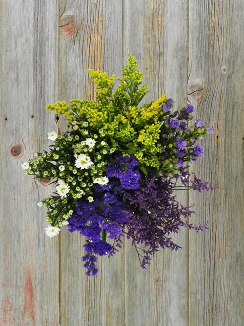 Filler Flowers #3 Filer Asters,  Tinted Blue Limonium, Purple Statice  Assorted Combo Box